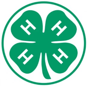 4H Program Support
